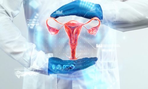 The doctor looks at the hologram of the female uterus, checks the test result. Ovarian disease, ectopic pregnancy, painful periods, surgery, innovative technologies, medicine of the future