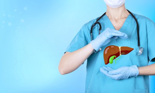 A doctor with a stethoscope holds a realistic human liver icon in his hands. The concept of awareness of the prevention of diseases of the internal organs. Copy space. High quality photo